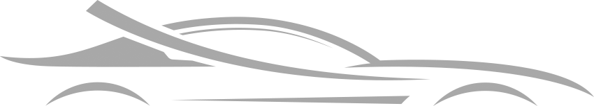 Naples Auto vault Car Logo